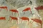 Bushman Paintings